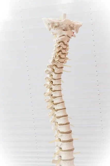 Spinal Health