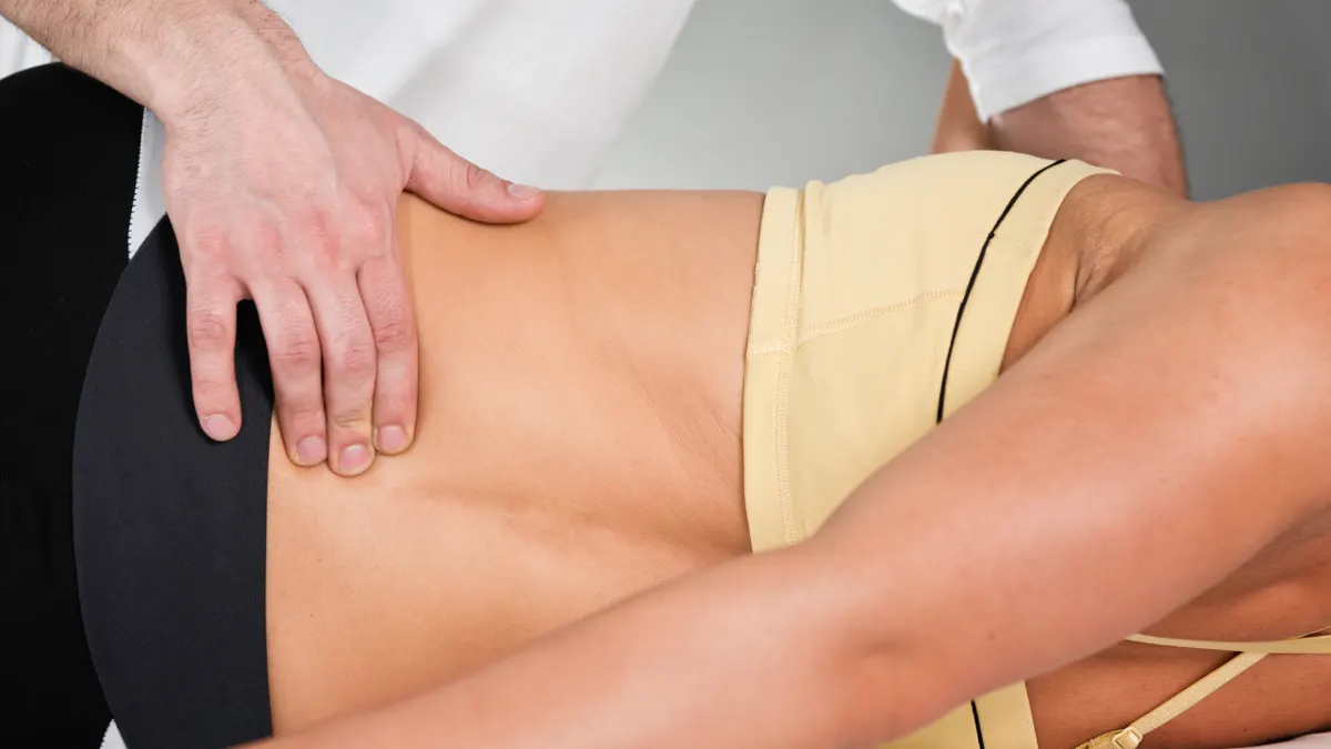 spinal column back muscles