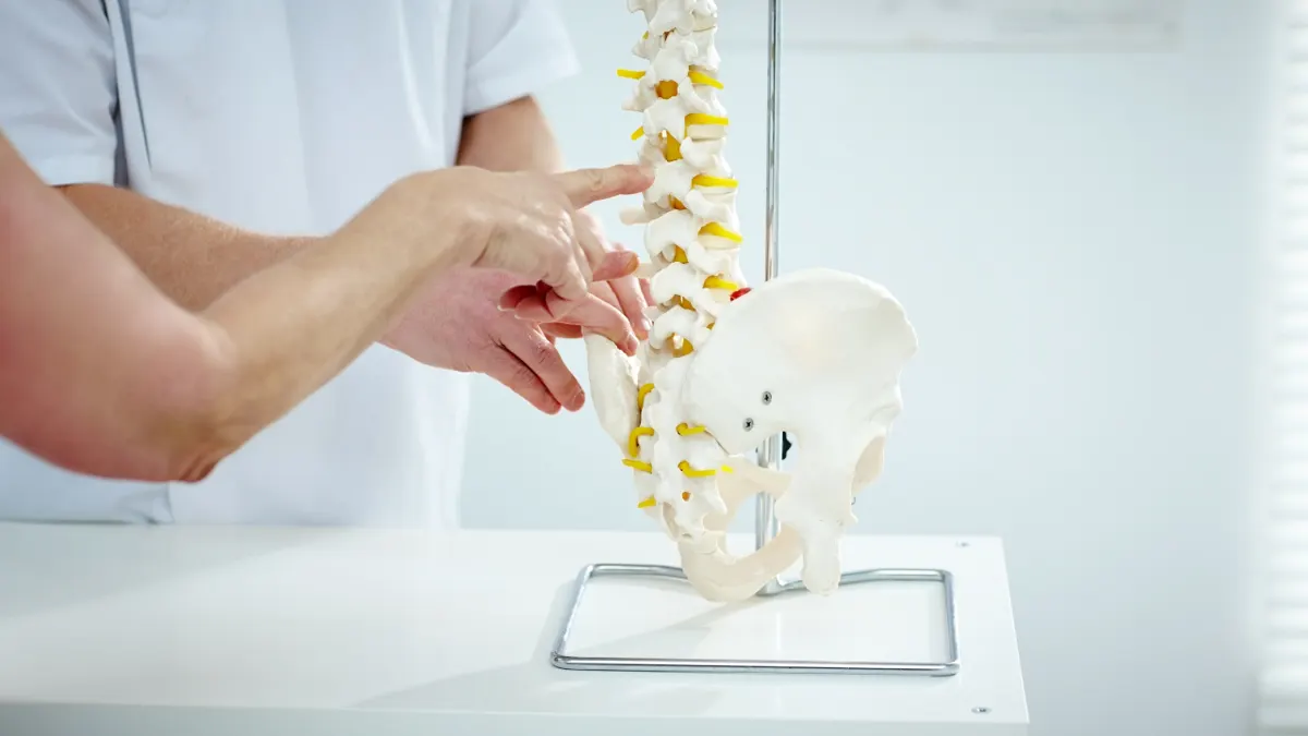 spinal facet joint spinal cord