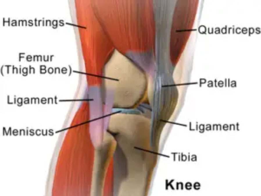 back-knee